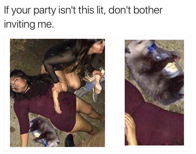 if your party isnt this lit - If your party isn't this lit, don't bother inviting me.