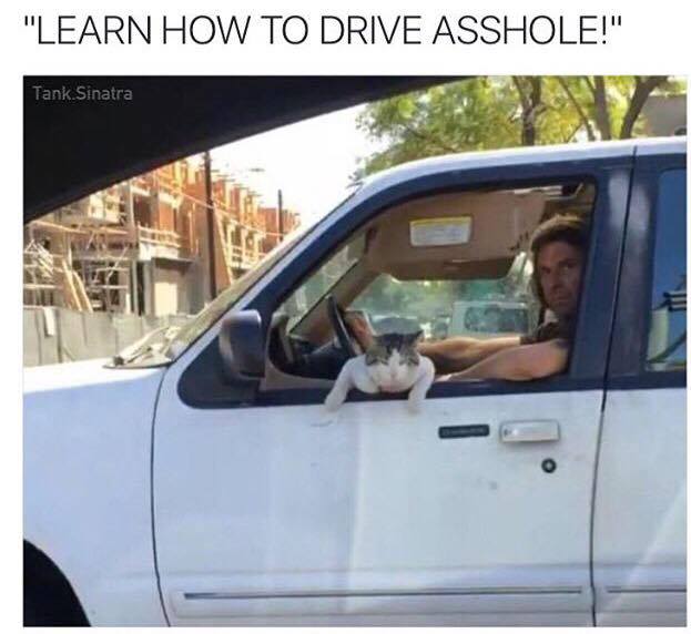 vehicle door - "Learn How To Drive Asshole!" Tank Sinatra