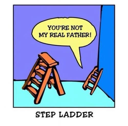 step ladder ace attorney - You'Re Not My Real Father! Jao Step Ladder