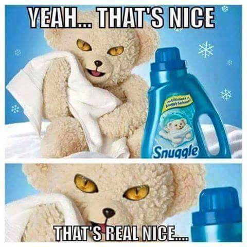 snuggle bear with cat eyes - Veah... That'S Nice Snuggle That'S Real Nice.