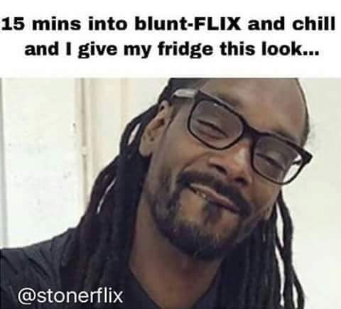 15 mins memes - 15 mins into bluntFlix and chill and I give my fridge this look...