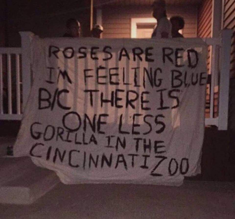 sign - Roses Are Redi Im Feeling Blue BC There Is One Less Gorilla In The CINCINNATI700