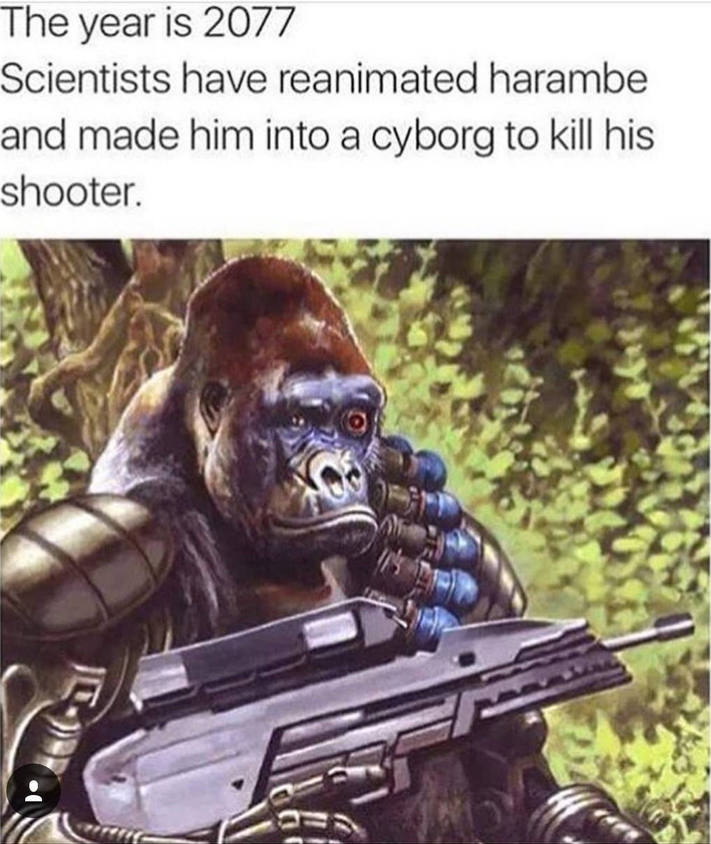 gorilla warrior - The year is 2077 Scientists have reanimated harambe and made him into a cyborg to kill his shooter Oc