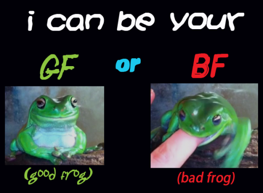 good frog bad frog - i can be your Gf or Bf good frog bad frog