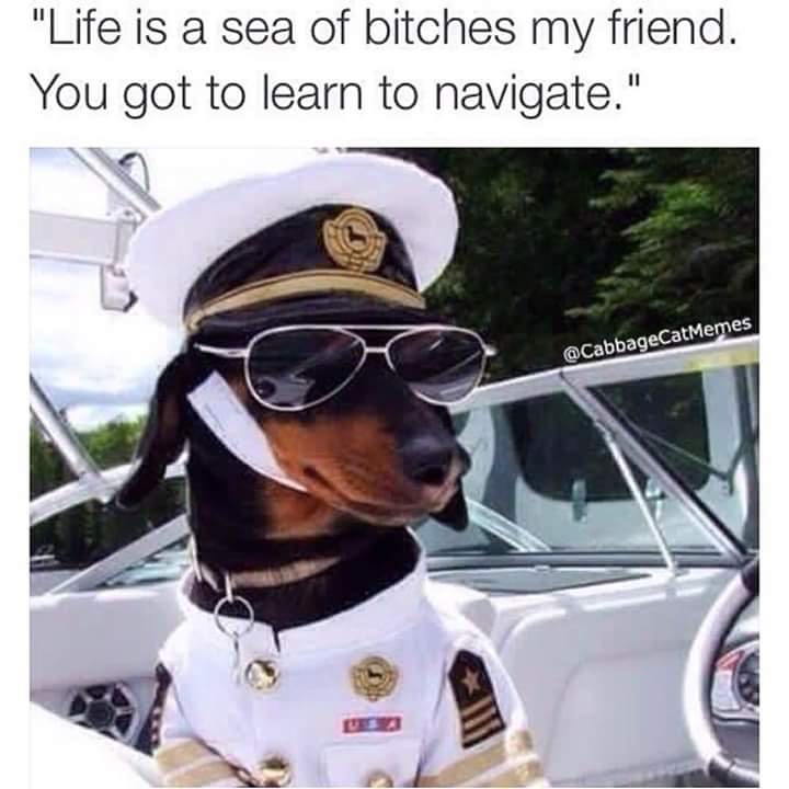 dachshund halloween costumes - "Life is a sea of bitches my friend. You got to learn to navigate."