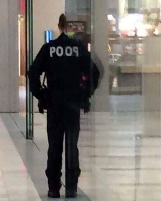 memes - officer poop reporting for doody - PO09