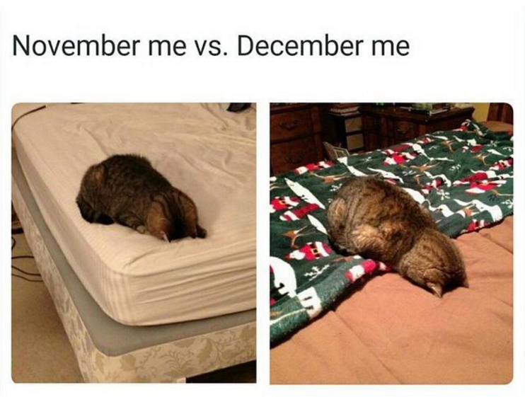 21 Great Pics And Memes to Improve Your Mood