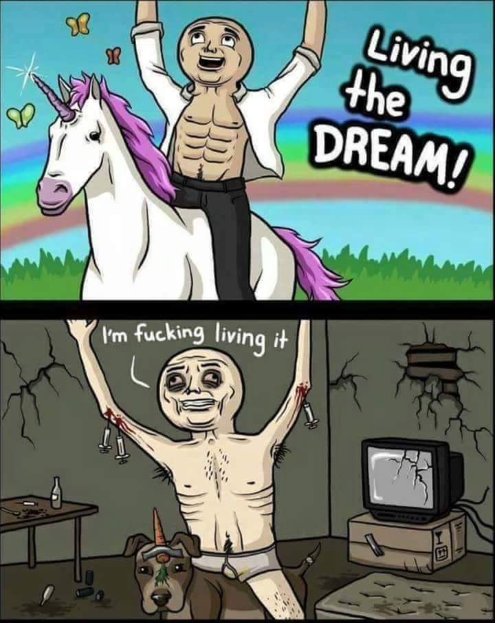 i m living the dream meme - Living the Dream! I'm fucking living it