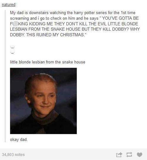 draco malfoy tumblr funny - natured My dad is downstairs watching the harry potter series for the 1st time screaming and i go to check on him and he says "You'Ve Gotta Be Fl King Kidding Me They Don'T Kill The Evil Little Blonde Lesbian From The Snake Hou