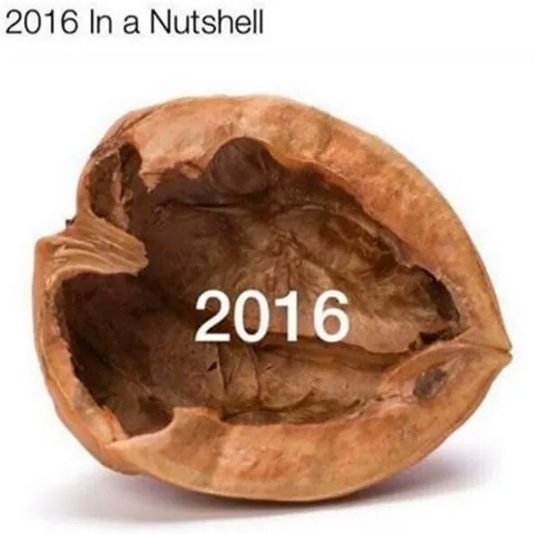 nut shell - 2016 In a Nutshell 2016