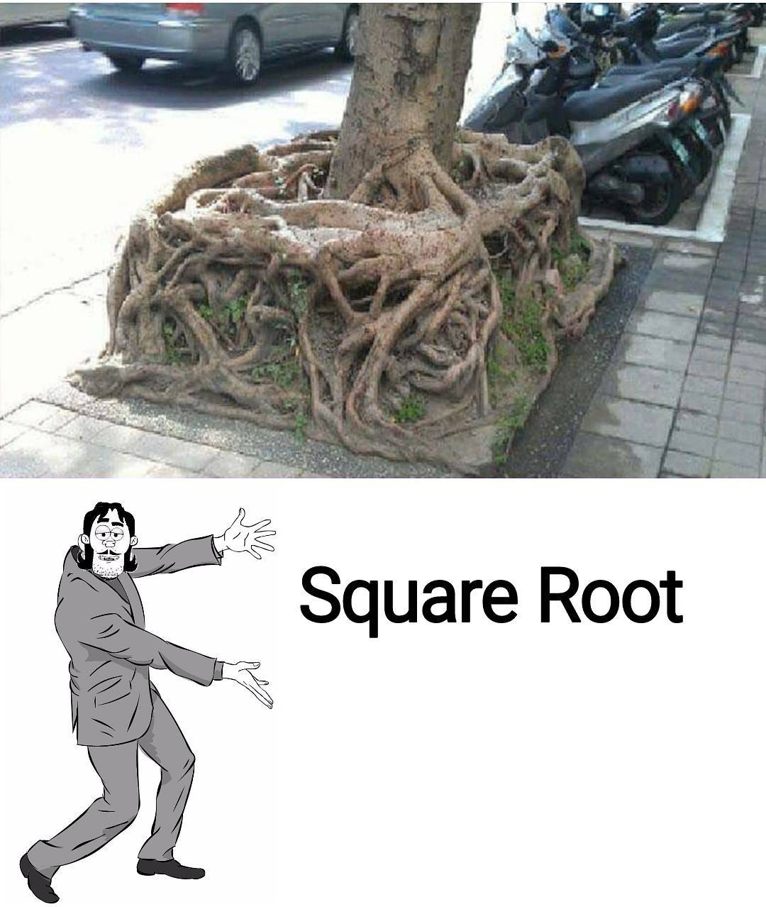 finally found the square root - So Square Root
