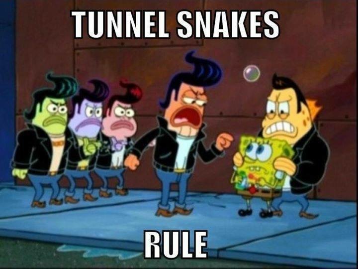 spongebob arctic monkeys - Tunnel Snakes Do I Cooo Rule