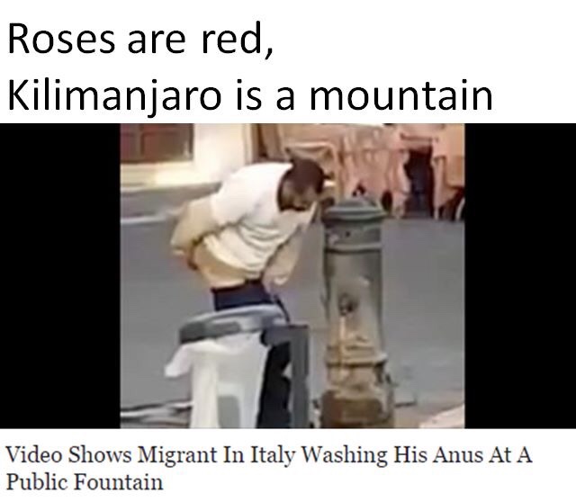 random pic roses are red kilimanjaro is a mountain - Roses are red, Kilimanjaro is a mountain Video Shows Migrant In Italy Washing His Anus At A Public Fountain