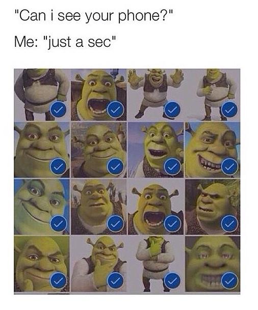 random pic shrek memes - "Can i see your phone?" Me "just a sec"