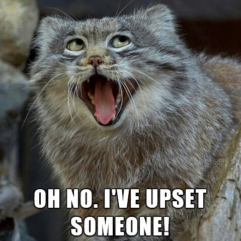 random pic expressive cat - Oh No. I'Ve Upset Someone!