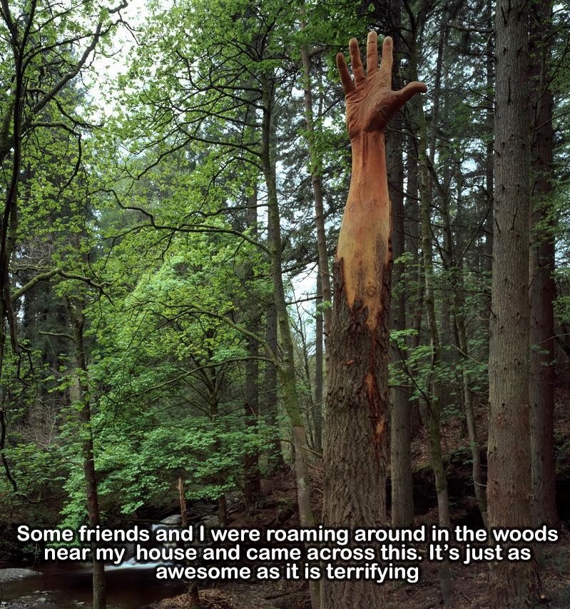 high five tree - Vaan Some friends and I were roaming around in the woods near my house and came across this. It's just as awesome as it is terrifying ndecame across this. it's just asas