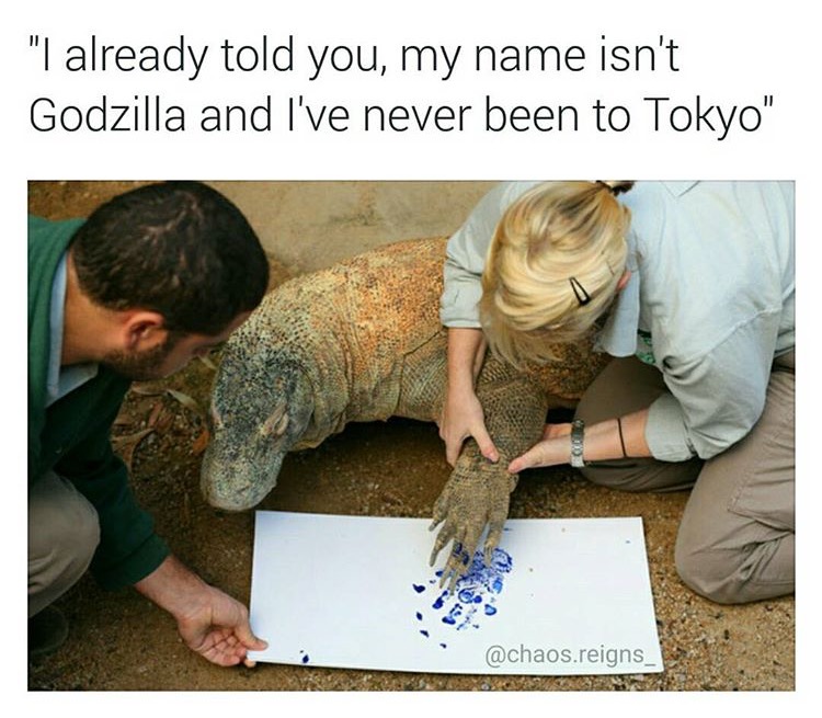 memes - godzilla memes - "I already told you, my name isn't Godzilla and I've never been to Tokyo" .reigns_