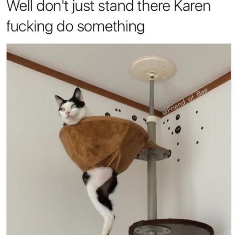 memes - don t just stand there karen - Well don't just stand there Karen fucking do something of Bae