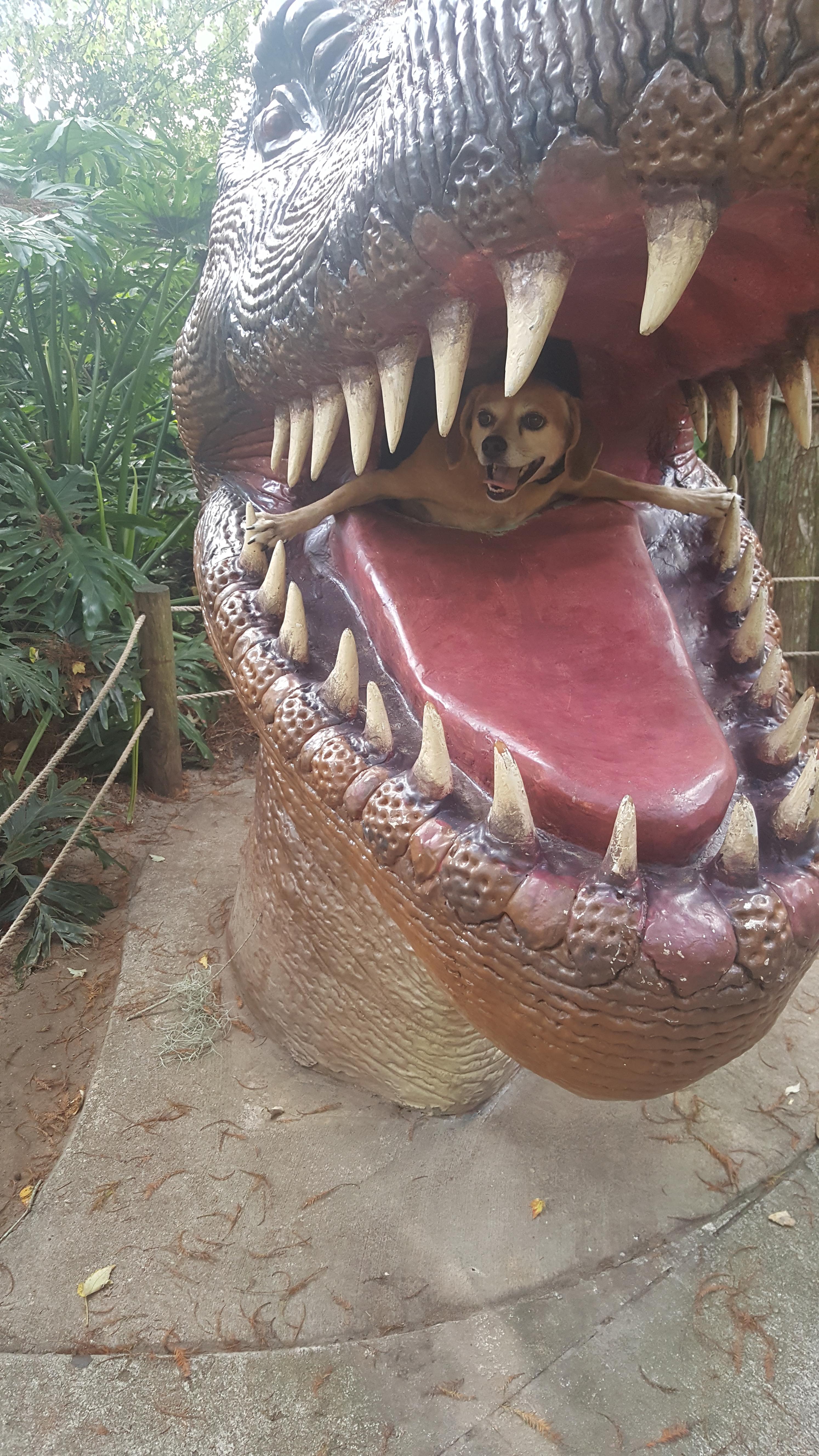 dog in dinosaur mouth