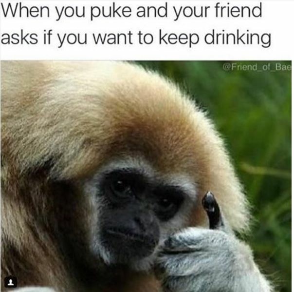 monkey thumbs up - When you puke and your friend asks if you want to keep drinking of Bae