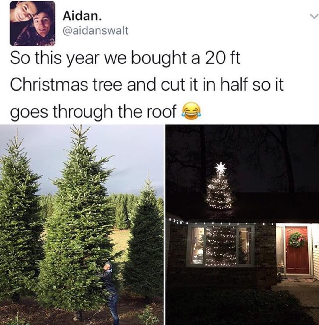 20 ft christmas tree through roof - Aidan. So this year we bought a 20 ft Christmas tree and cut it in half so it goes through the roof