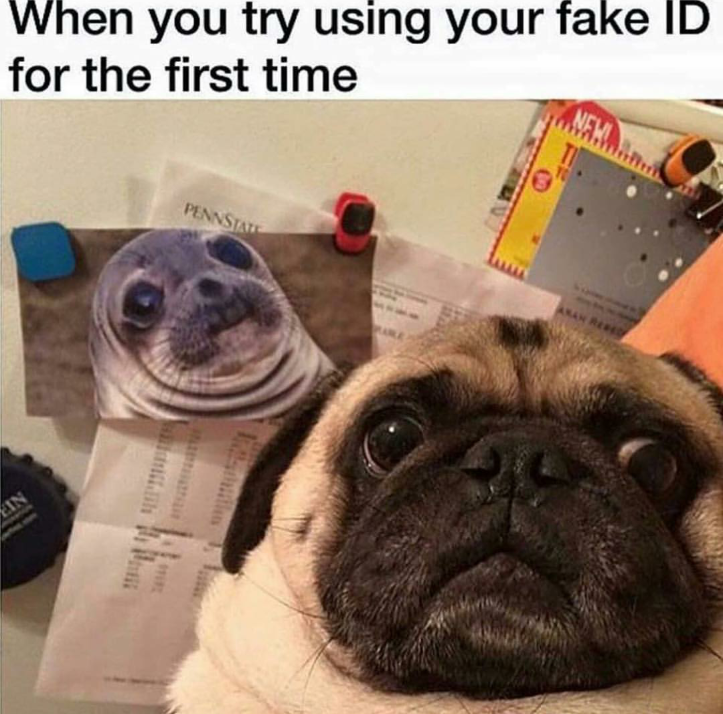 fake id meme - When you try using your fake Id for the first time Pennstad
