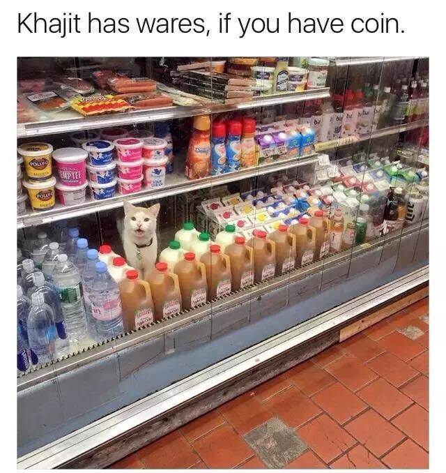 cat has wares if you have coin - Khajit has wares, if you have coin. . A Care