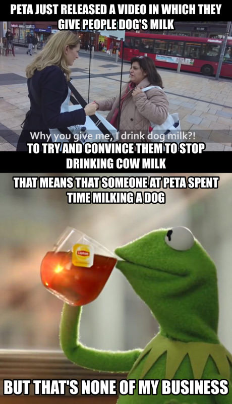 homeschool back to school meme - Peta Just Released A Video In Which They Give People Dog'S Milk Why you give me, I drink dog milk?! To Try And Convince Them To Stop Drinking Cow Milk That Means That Someone At Peta Spent Time Milking A Dog But That'S Non