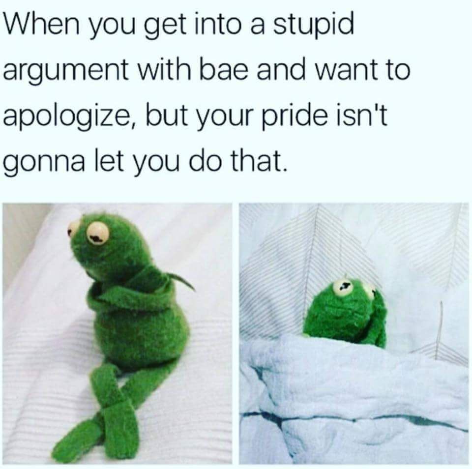 put your pride aside meme - When you get into a stupid argument with bae and want to apologize, but your pride isn't gonna let you do that.