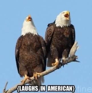 laughs in american meme - {Laughs In American}ine