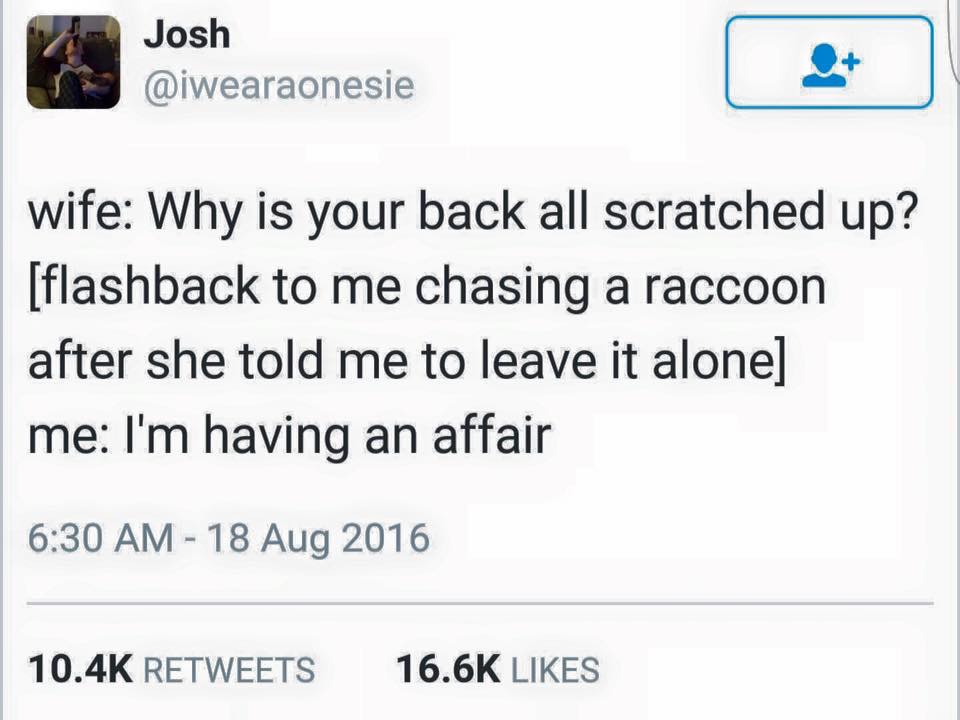 multimedia - Josh wife Why is your back all scratched up? flashback to me chasing a raccoon after she told me to leave it alone me I'm having an affair