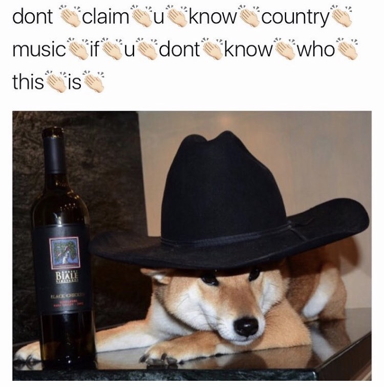 dont claim to know meme - dont claimu music if u this is knowcountry dont know who Biale