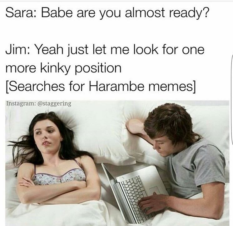bored women - Sara Babe are you almost ready? Jim Yeah just let me look for one more kinky position Searches for Harambe memes Instagram
