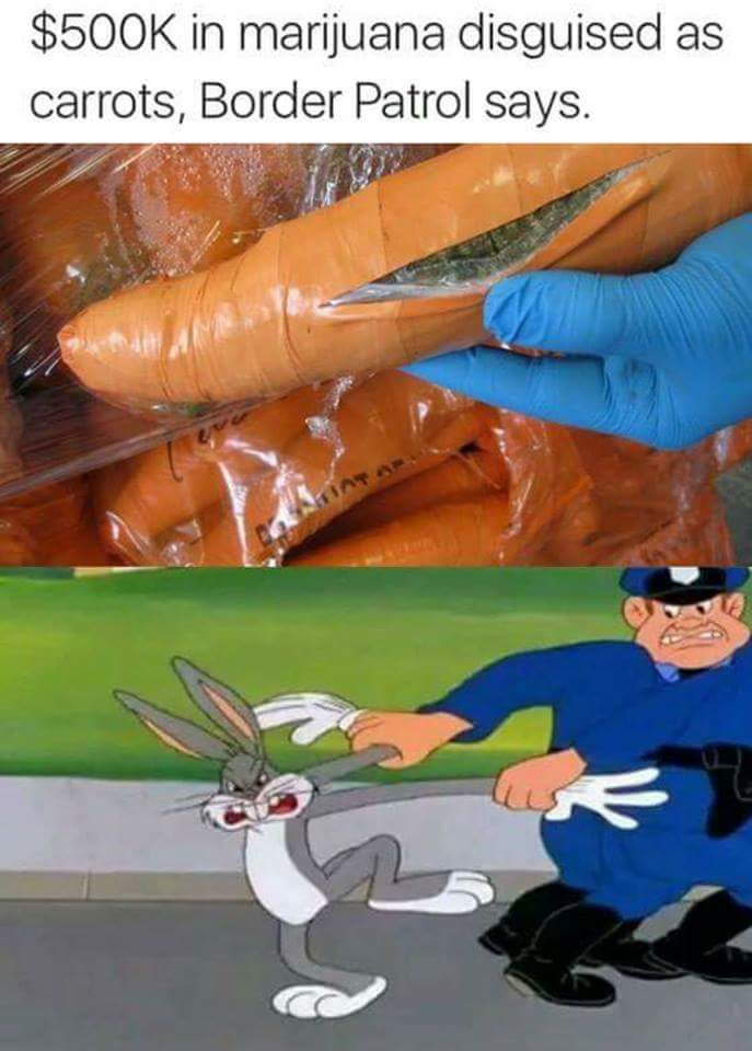 cocaine carrot - $ in marijuana disguised as carrots, Border Patrol says.
