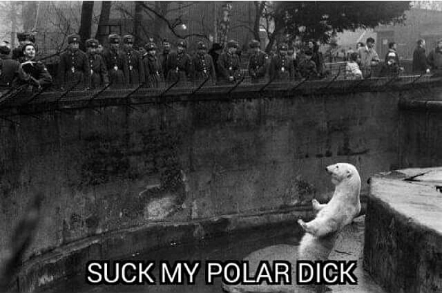 Suck My Polar Dick