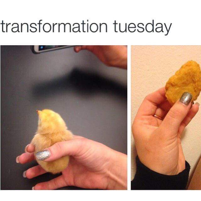 tuesday meme - transformation tuesday