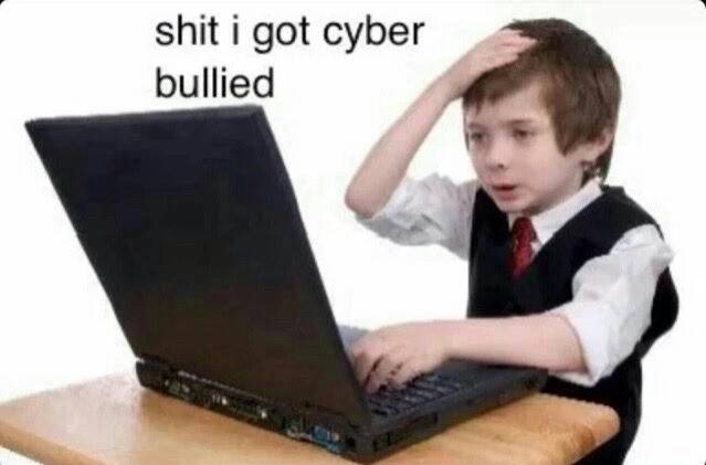m 12 years old - shit i got cyber bullied