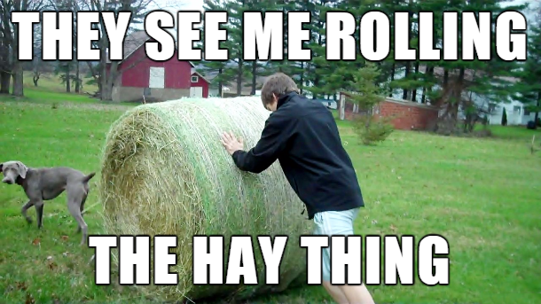 washington state convention center - They See Me Rolling The Hay Thing