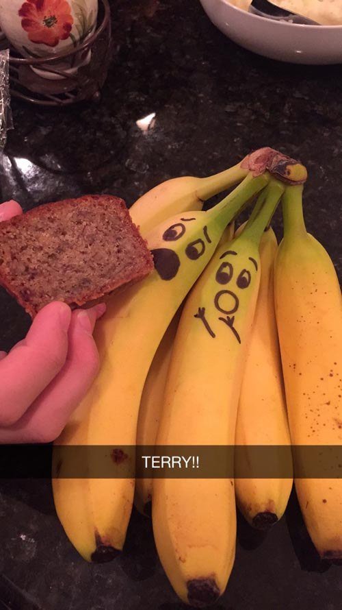 funny food snapchat - Terry!!