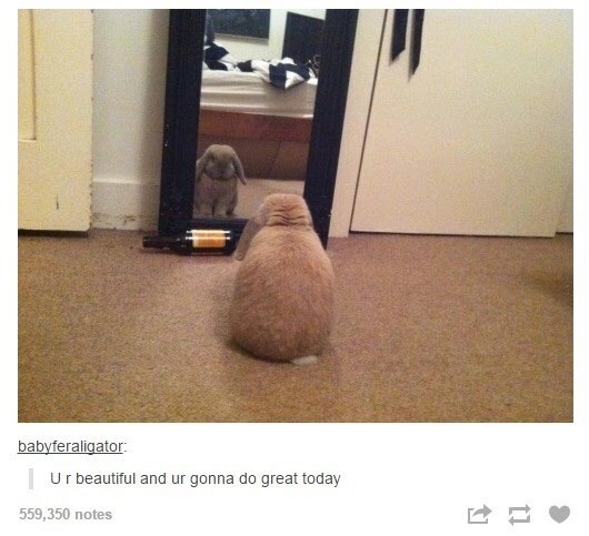 ur beautiful and u will do great today - babyferaligator | Ur beautiful and ur gonna do great today 559,350 notes