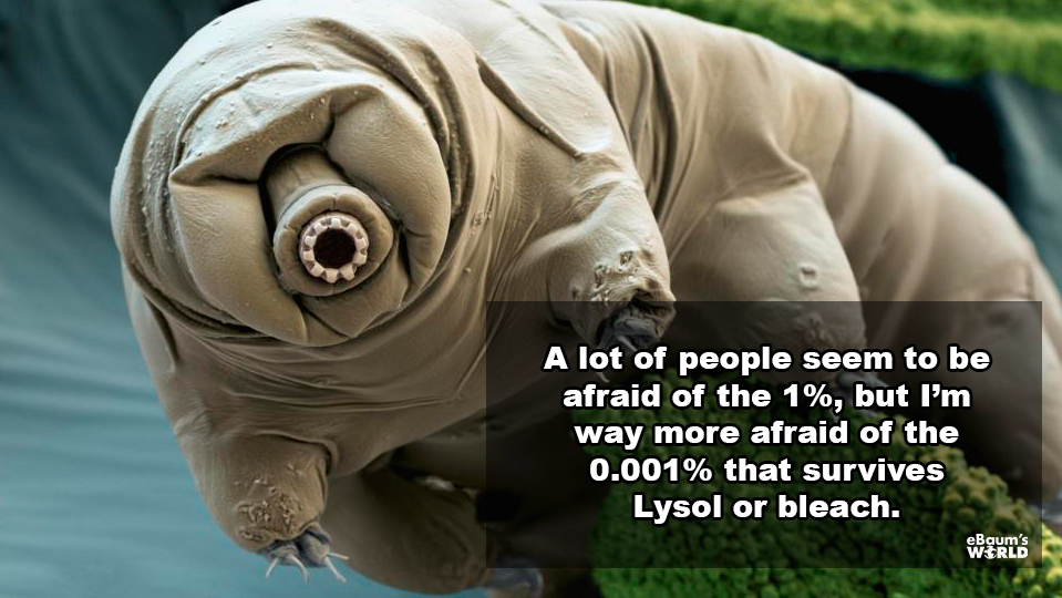 most badass animals - A lot of people seem to be afraid of the 1%, but I'm way more afraid of the 0.001% that survives Lysol or bleach.