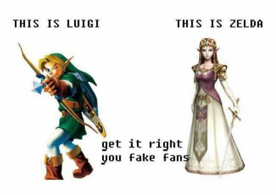 zelda luigi - This Is Luigi This Is Zelda 10 get it right you fake fans