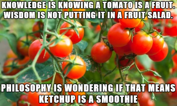 ketchup is a smoothie - Knowledge Is Knowing A Tomato Is A Fruit. Wisdom Is Not Putting It In A Fruit Salad. Philosophy Is Wondering If That Means Ketchup Is A Smoothie