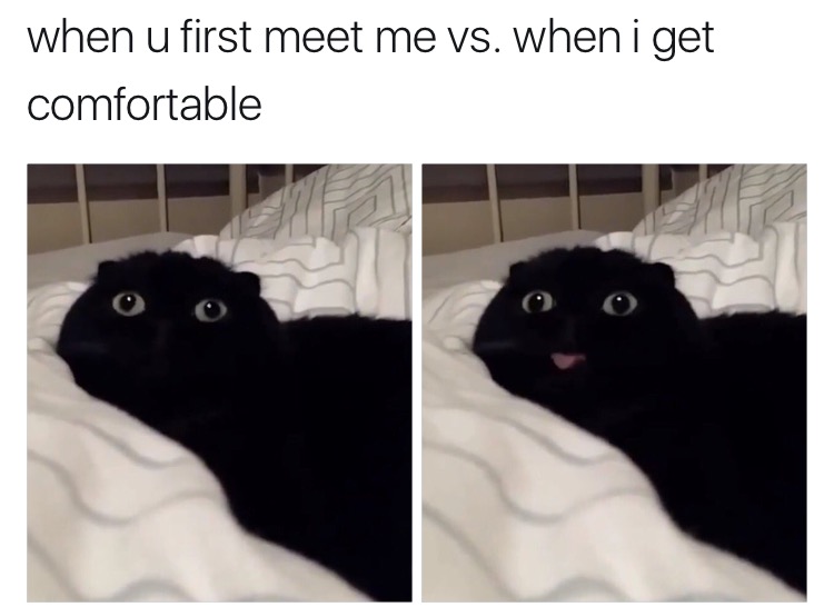 memes  - you first meet me vs - when u first meet me vs. when i get comfortable