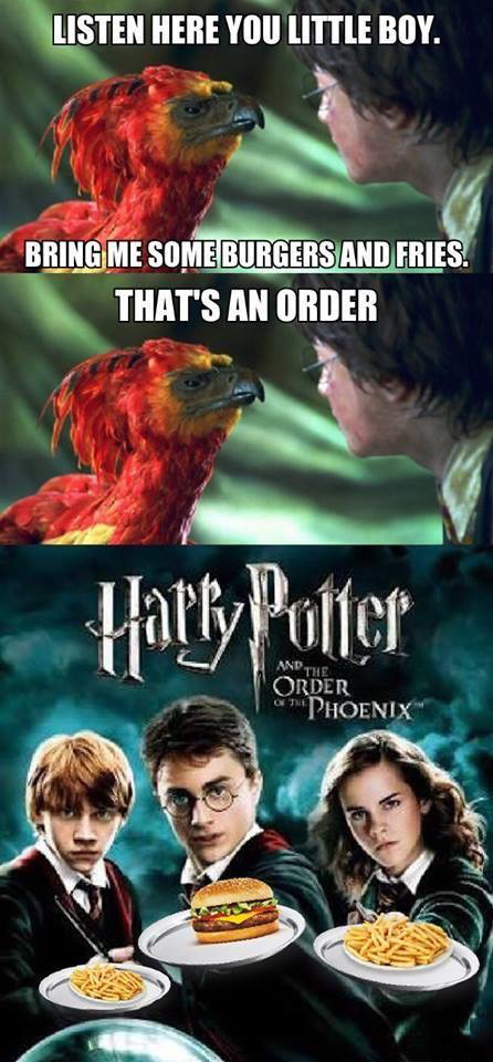 memes  - harry potter memes order of the phoenix - Listen Here You Little Boy. Bring Me Some Burgers And Fries That'S An Order Harry Potter Anp The Order on Phoenix