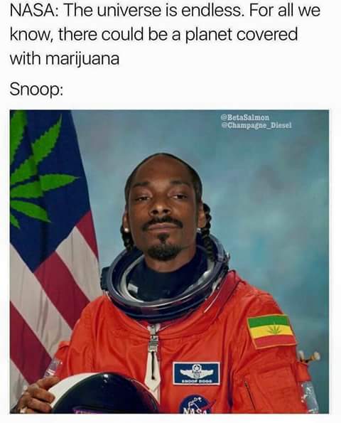 weed meme - Nasa The universe is endless. For all we know, there could be a planet covered with marijuana Snoop Champagne_Diesel