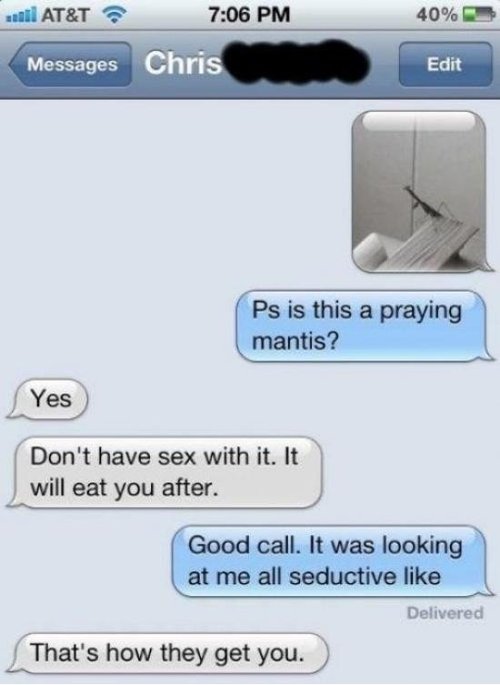 funny phone messages - u At&T 40% Messages Chris Edit Ps is this a praying mantis? Yes Don't have sex with it. It will eat you after. Good call. It was looking at me all seductive Delivered That's how they get you.