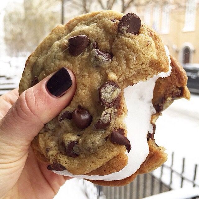 melting moments ice cream cookie sandwich
