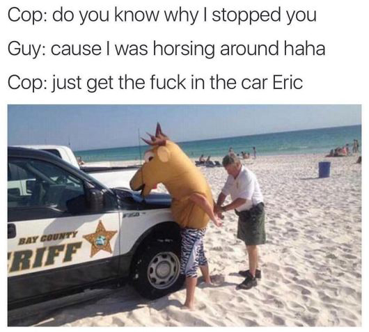 horsing around meme - Cop do you know why I stopped you Guy cause I was horsing around haha Cop just get the fuck in the car Eric Bay Count Riff