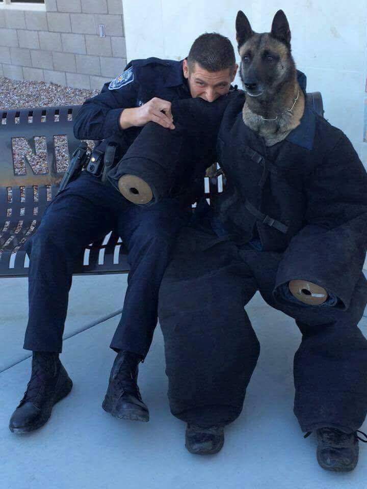 policeman biting a dog